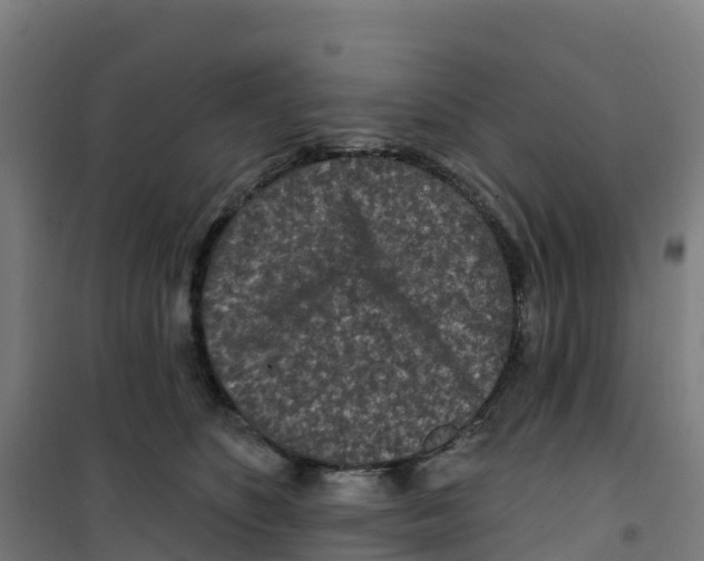 X0000100360516200807031841