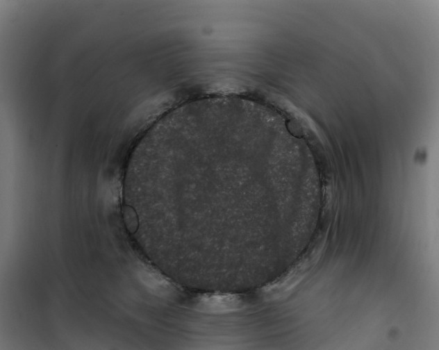 X0000100360517200807031841