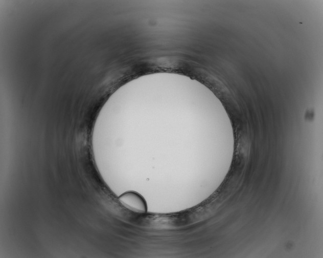 X0000100360518200807031841