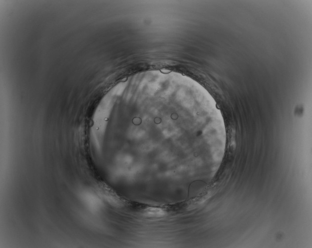 X0000100360519200807031841