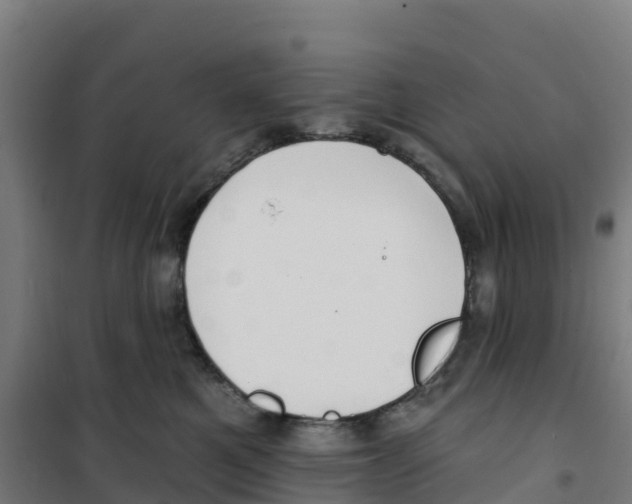 X0000100360521200807031841