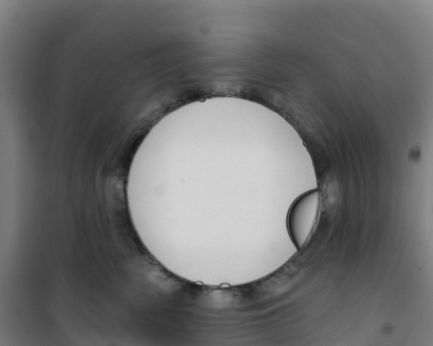 X0000100360522200807031841