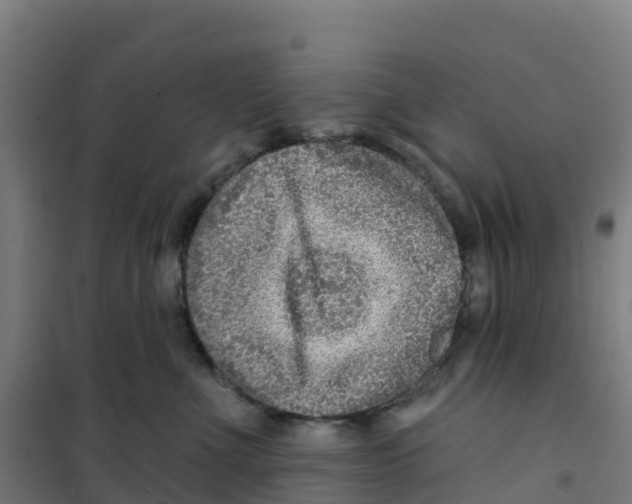 X0000100360523200807031841
