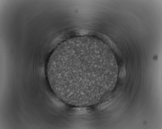 X0000100360524200807031841