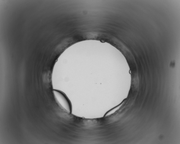 X0000100360525200807031841