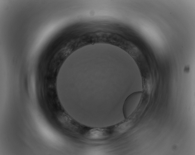 X0000100360526200807031841