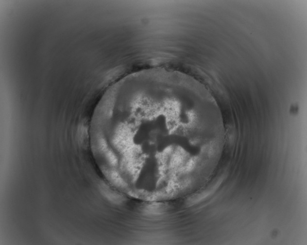 X0000100360527200807031841