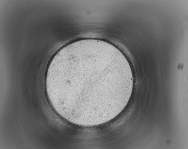 X0000100360529200807031840