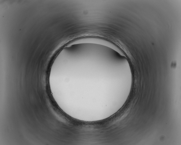 X0000100360530200807031840