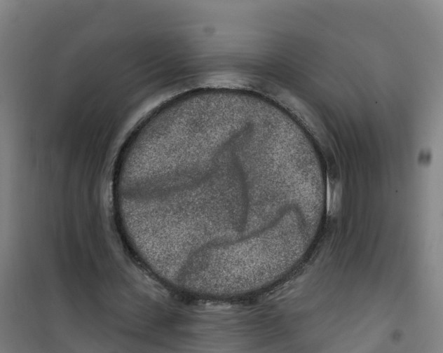 X0000100360531200807031840