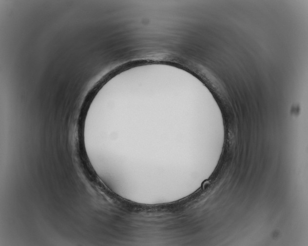 X0000100360532200807031840
