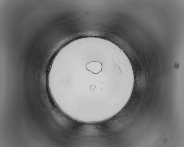 X0000100360534200807031840