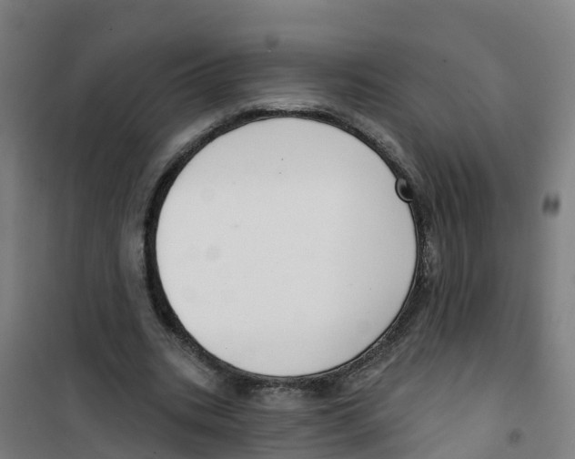 X0000100360535200807031840