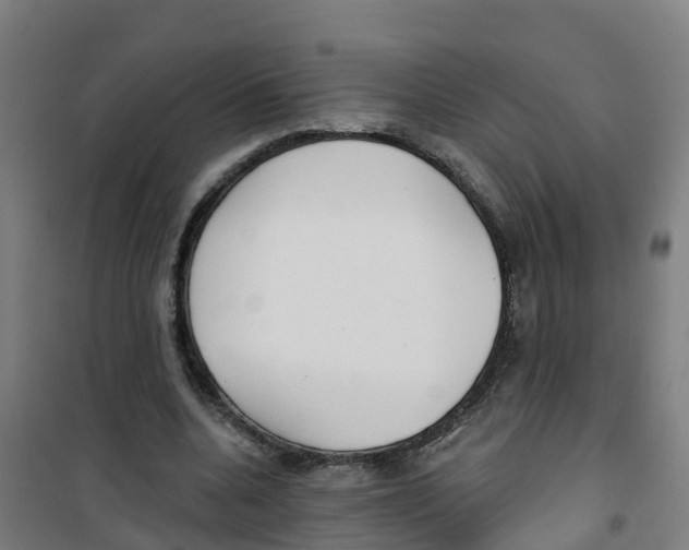 X0000100360536200807031840