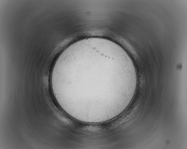 X0000100360537200807031840