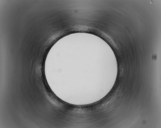 X0000100360538200807031840