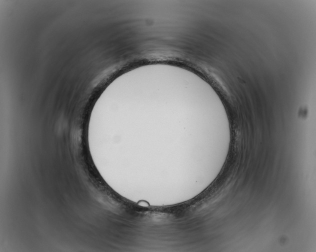 X0000100360539200807031840
