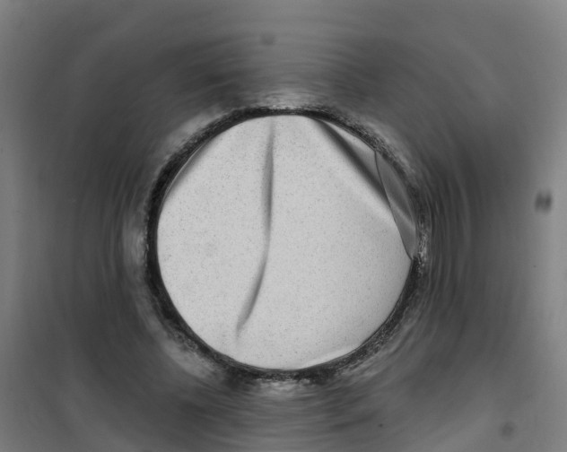X0000100360540200807031840