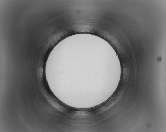 X0000100360541200807031840
