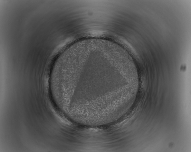 X0000100360542200807031840