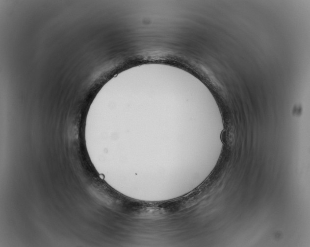 X0000100360543200807031840