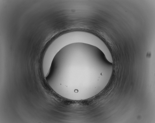 X0000100360544200807031840