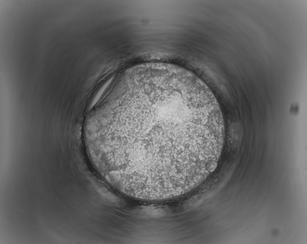 X0000100360545200807031840