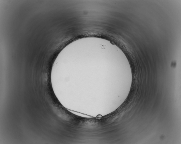 X0000100360546200807031840