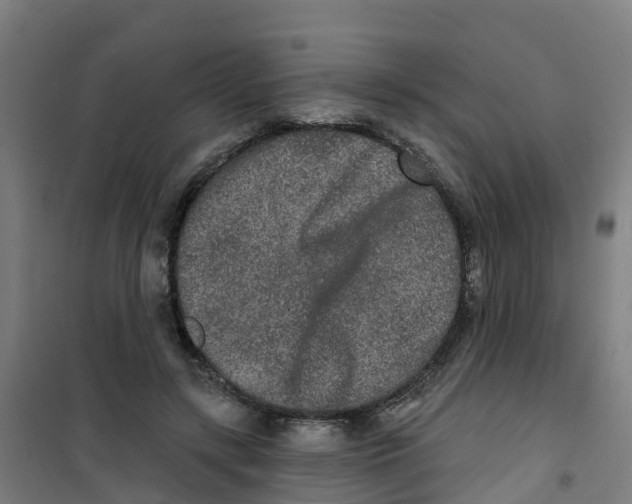 X0000100360547200807031840