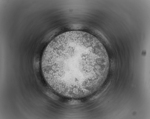 X0000100360549200807031840