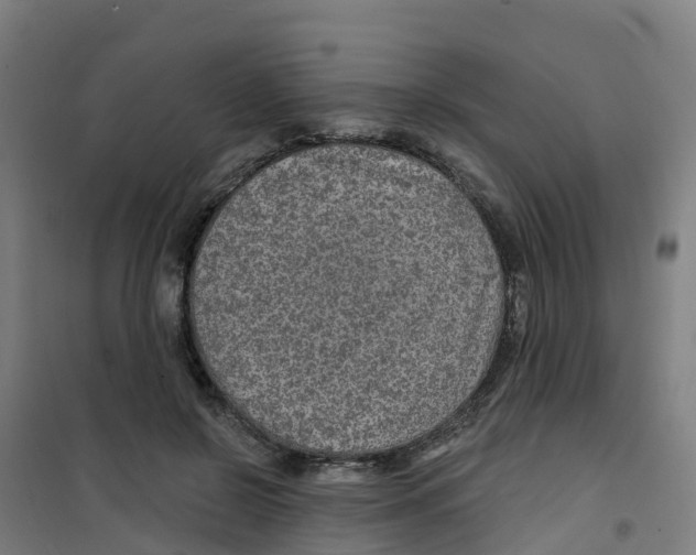 X0000100360550200807031840