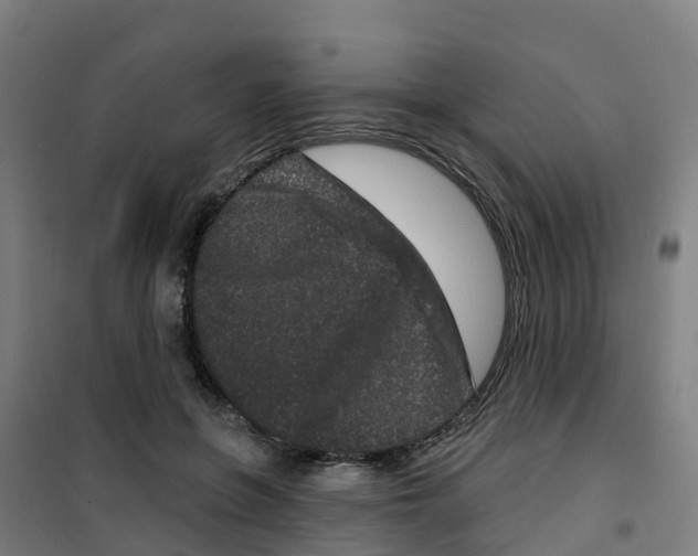 X0000100360551200807031840