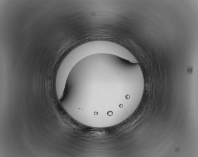 X0000100360552200807031840