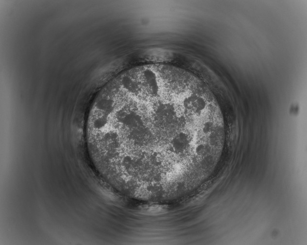 X0000100360553200807031840