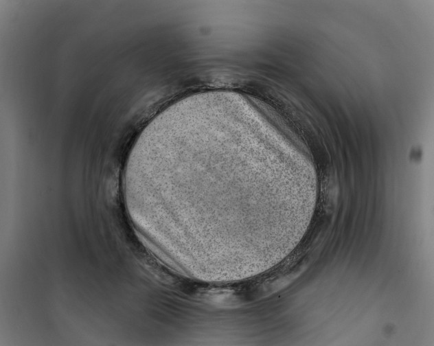X0000100360554200807031840