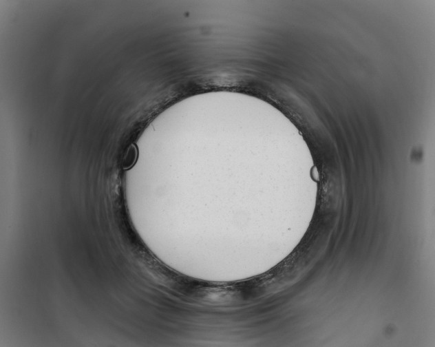 X0000100360555200807031840