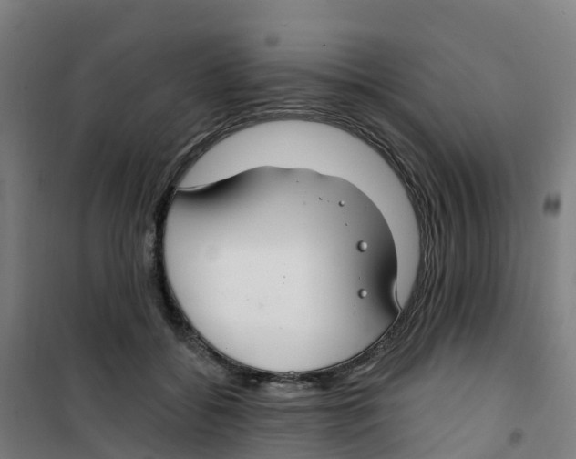 X0000100360556200807031840