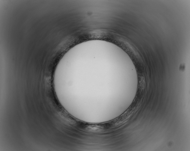 X0000100360557200807031840