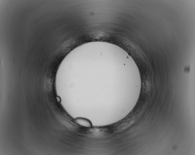 X0000100360558200807031840