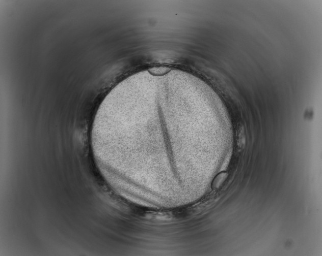 X0000100360559200807031840