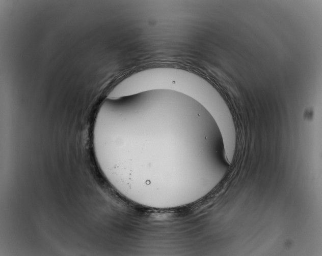 X0000100360560200807031840