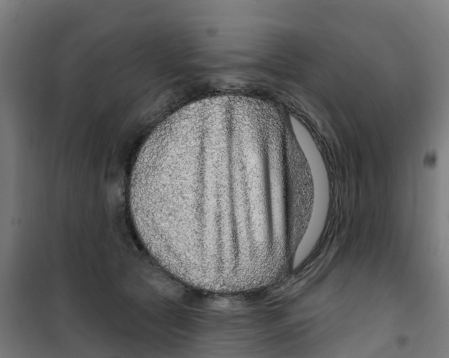X0000100360561200807031840