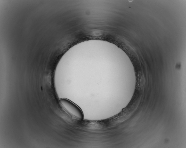 X0000100360562200807031840