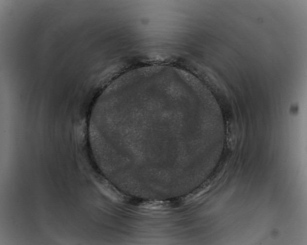 X0000100360563200807031840