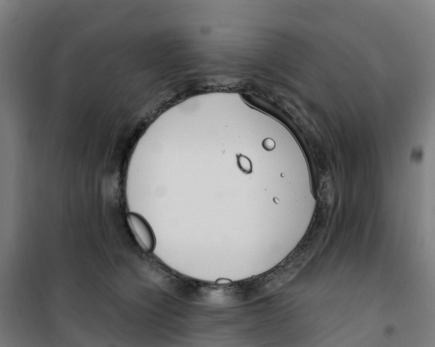 X0000100360564200807031840