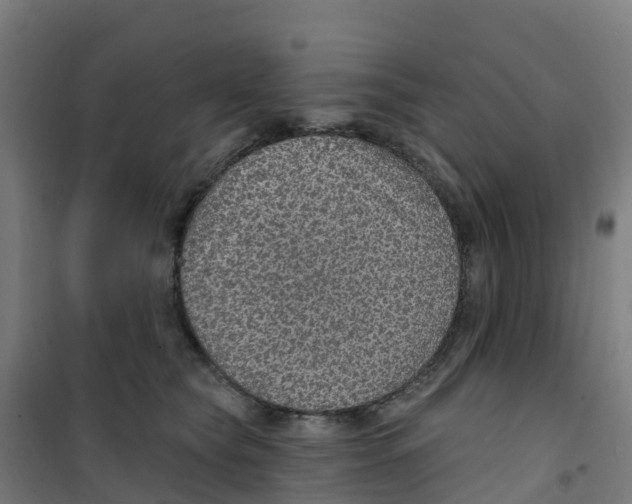 X0000100360565200807031840