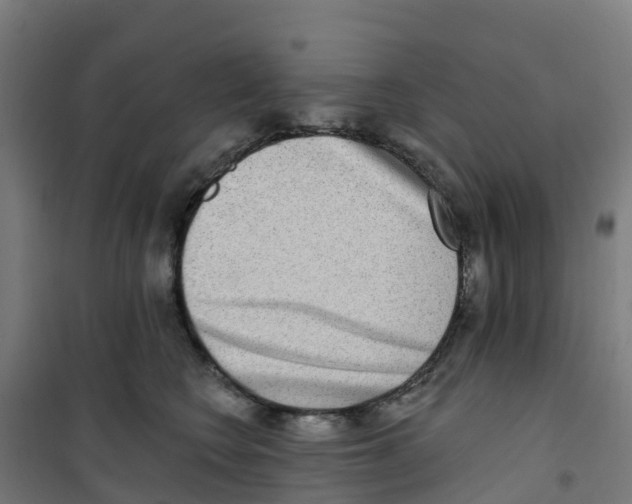 X0000100360566200807031840
