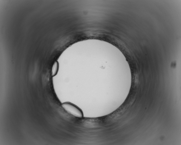 X0000100360567200807031840