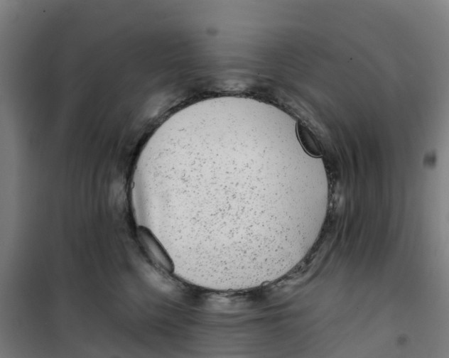 X0000100360568200807031841