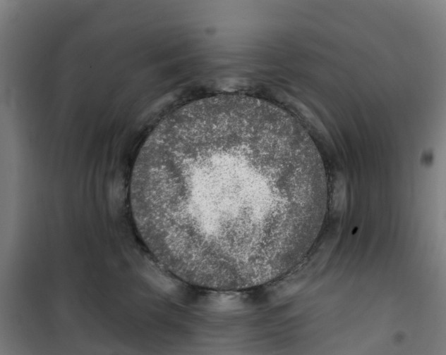 X0000100360569200807031841